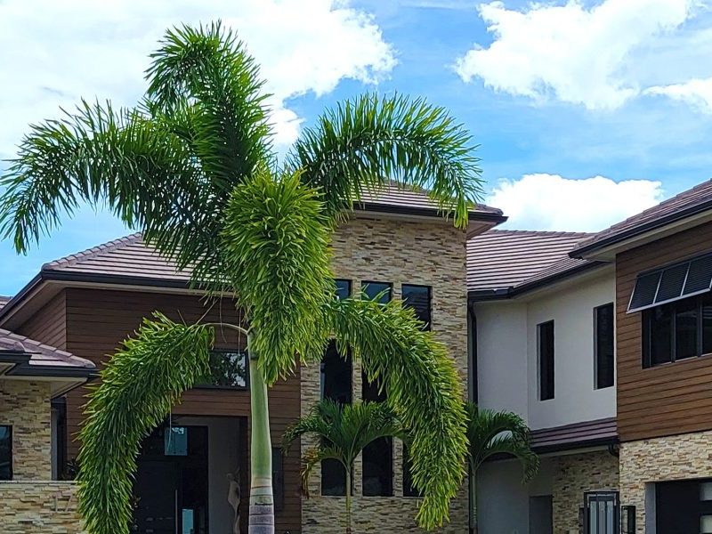 Houses for Sale in Emirates Hills Discover Dubai’s Premier Luxury Properties