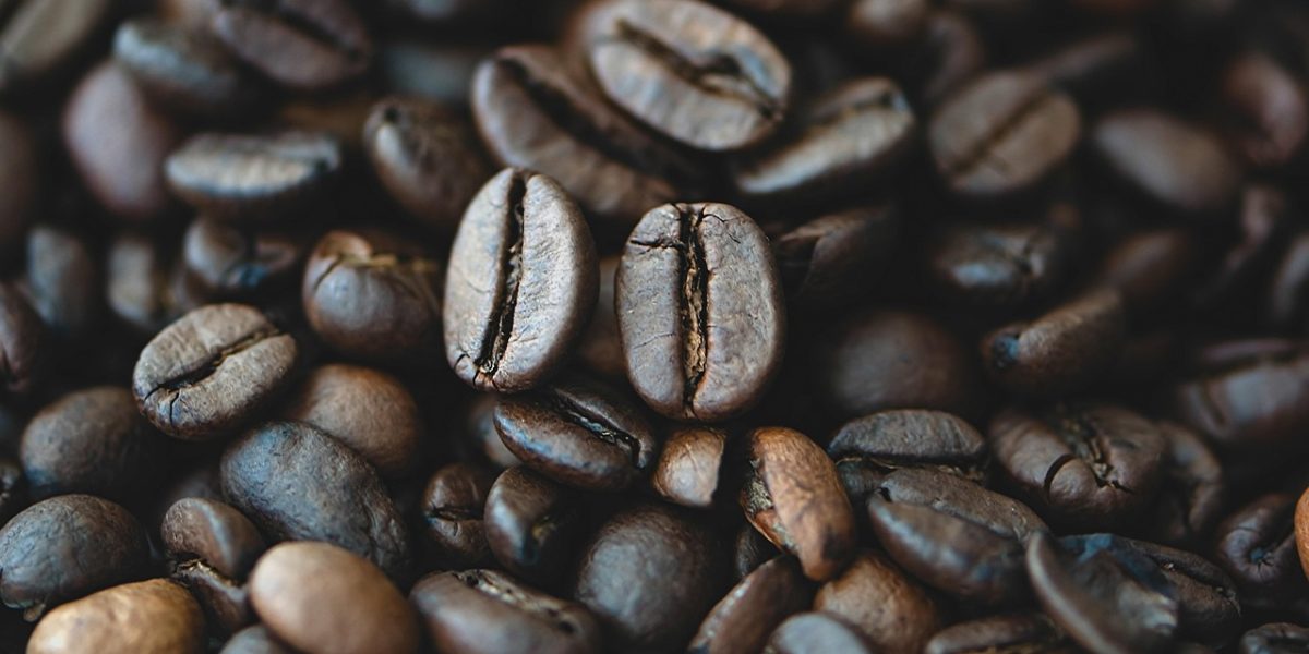 An individual reviews documents in a coffee shop, symbolizing the diligent research required to find trustworthy information for property investment.