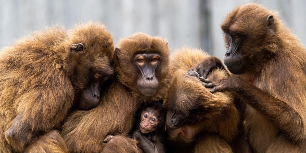 A family enjoying the lush, green outdoor spaces and amenities of a modern community.